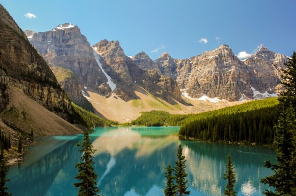 Rockies Round Up 156151650.jpg