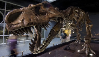 Family Fun in the West 1.jpg