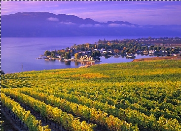 Mountains to Ocean 2.jpg