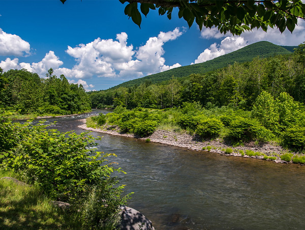 New York State 3 (24).jpg