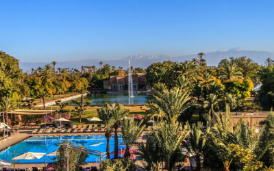 Marrakech Winter Sunshine 5-Marrakech-Winter-Sunshine_pk34150_1.jpg