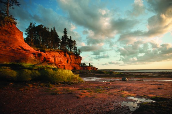 Nova Scotia Burntcoat Head Family_SM_09_12400.tif.jpg