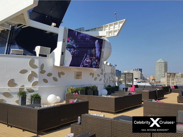 Celebrity Infinity Celebrity-Infinity3.jpg