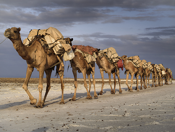 Ethiopia ETHIOPIA1.jpg