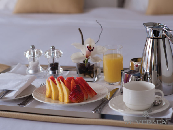 Silver Explorer Explorer7.jpg