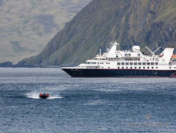 Silver Explorer Explorer.jpg