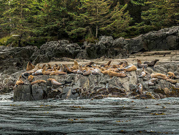 Haida Gwaii Haida-Gwaii-3.jpg