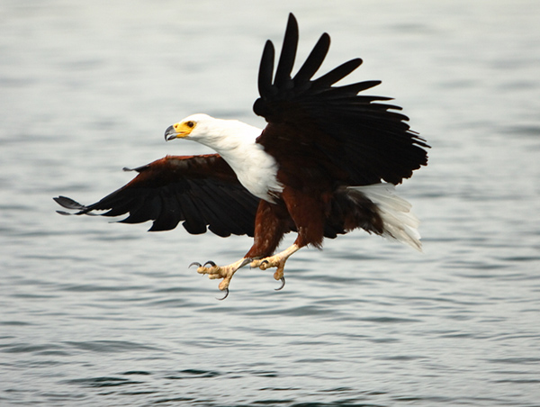 Malawi Mozambique1.jpg