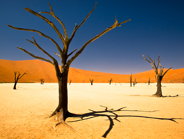 Namibia Namibia3.jpg