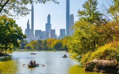 New York Royalty New-York-Royalty-_pk34487_1.jpg