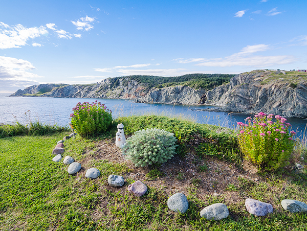 Newfoundland Discovery Newfoundland-Discovery-1.jpg