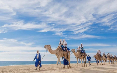 Rabat & Tangier Winter Escape Rabat-Tangier-Winter-Escape_pk34277_1.jpg