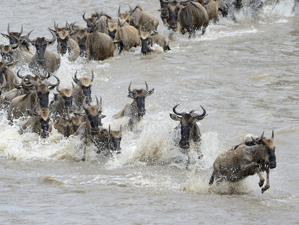 Tanzania Tanzania5.jpg