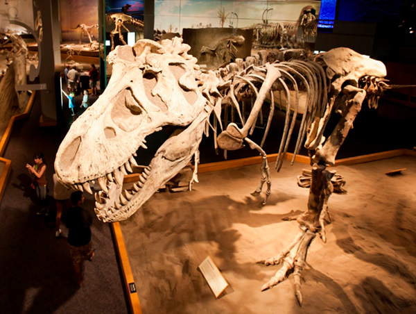 Canadian Heartland Exploring Historic Saskatchewan The-Canadian-Heartland-Tour3.jpg