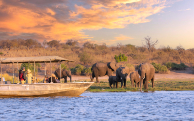 Victoria Falls & Okavango Delta Victoria-Falls-Okavango-Delta_pk34286_1.jpg