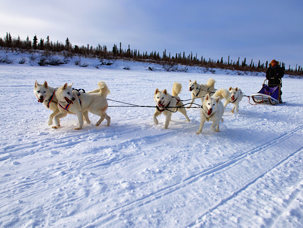 Yellowknife  Aurora Borealis Viewing Yellowknife-Aurora-Borealis.jpg