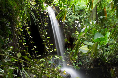 Amazon Rainforest amazon-rainforest-waterfall.jpg