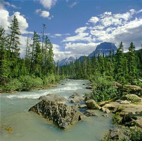 Rockies Trail athabasca-river.jpg