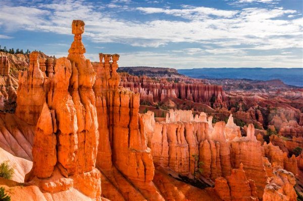 Rockies Round Up bryce_canyon_np (Medium).jpg