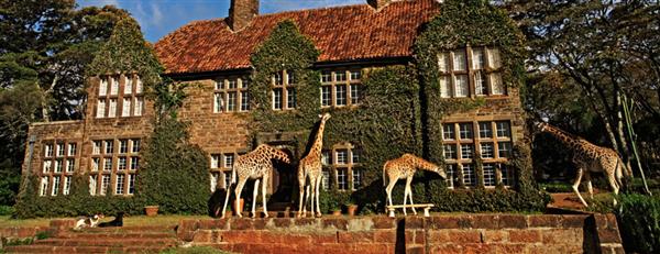 Nairobi City Hotels giraffe-manor1 (1) (Custom).jpg