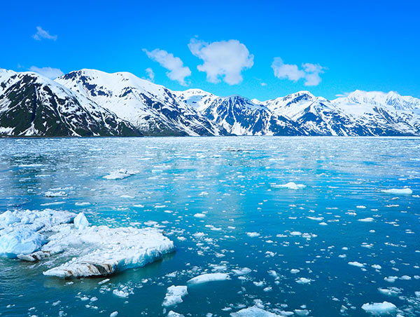 Glaciers and Gold Rush Bonanza glacier.jpg