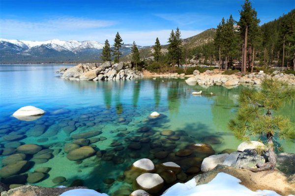 Western Bonanza lake_tahoe (Medium).jpg