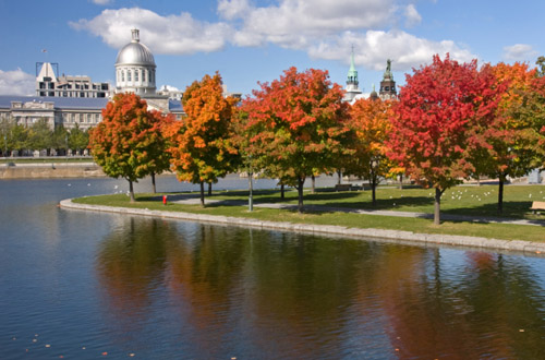 Montreal montreal-bonsecours-basin.jpg
