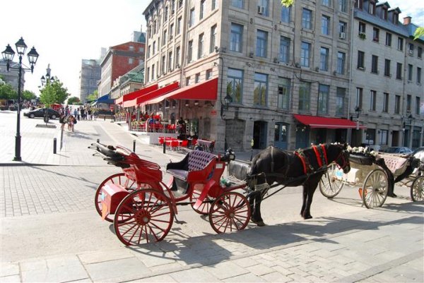 Eastern Canada Classic  montreal-horse-carriage.jpg