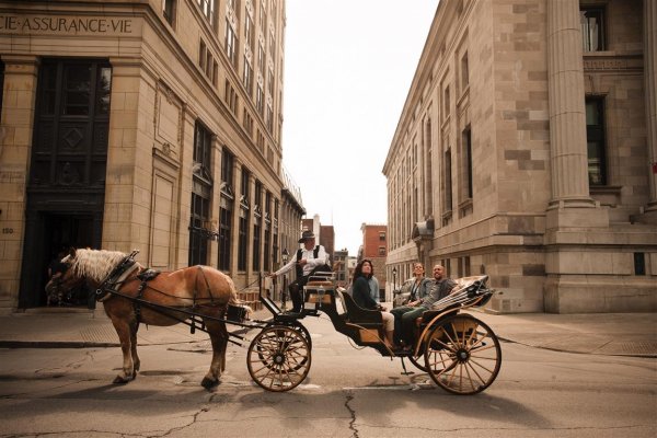 Canadian Contrasts montrealhorsecarriage_web.jpg