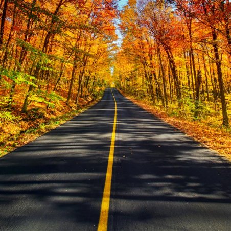 Eastern Explorer muskoka region canada_web.jpg