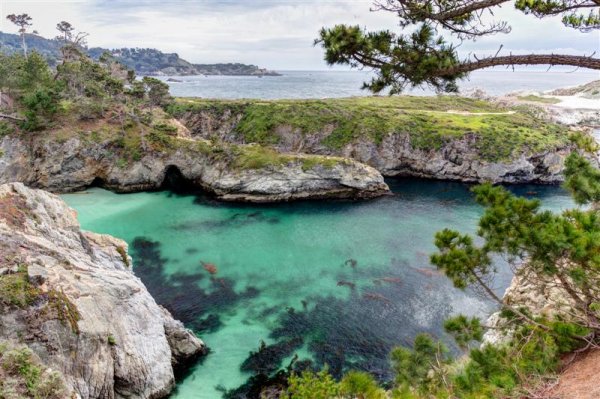Western Values Self Drive point_lobos_california (Medium).jpg