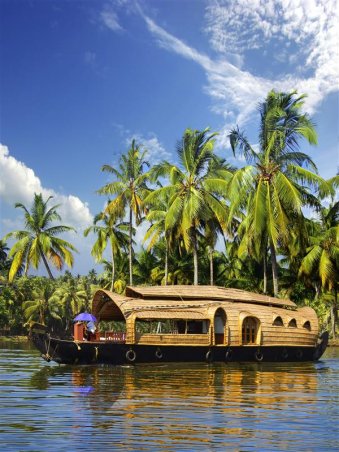Karnataka and North Kerala Explorer shutterstockCustom.jpg