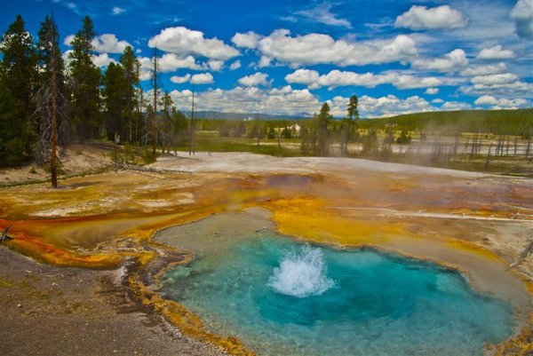 Rockies Round Up yellowstone_geyser (Medium).jpg