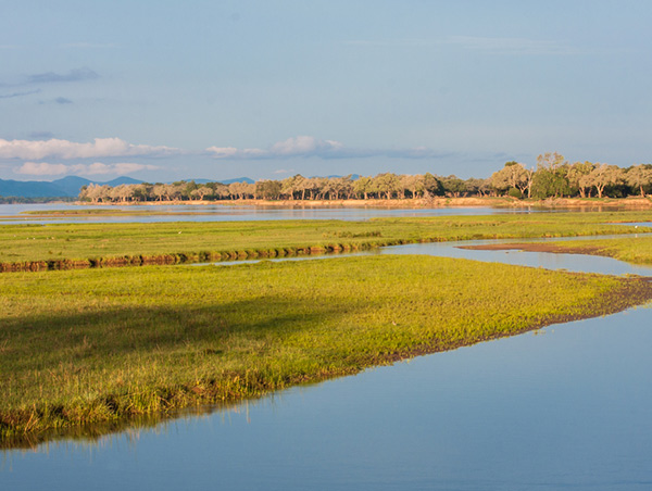 Zimbabwe zimbabwe-184740431.jpg